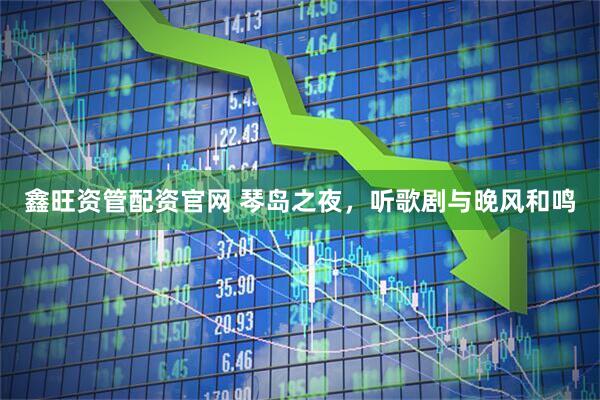 鑫旺资管配资官网 琴岛之夜，听歌剧与晚风和鸣